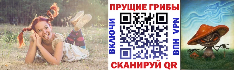Галлюциногенные грибы Cubensis кракен Троицк наркотики